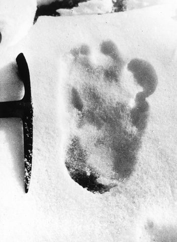 'Yeti' footprint with ice axe head