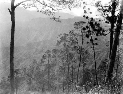 The Splendid Mountains of Haiti