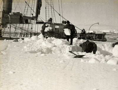 The Terra Nova at Glacier Tongue